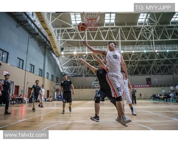 刘娜独家篮球心得分享:从基础技巧到实战经验的全面解析与提升建议 刘娜独家篮球心得分享:从基础技巧到实战经验的全面解析与提升建议