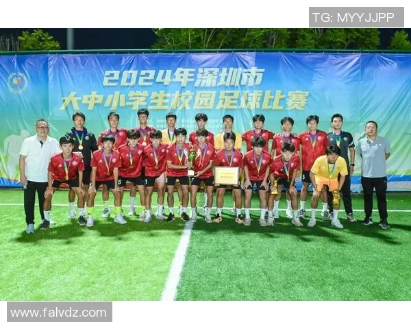 深圳足球队荣登全国足球技术排行榜第七名引发热议