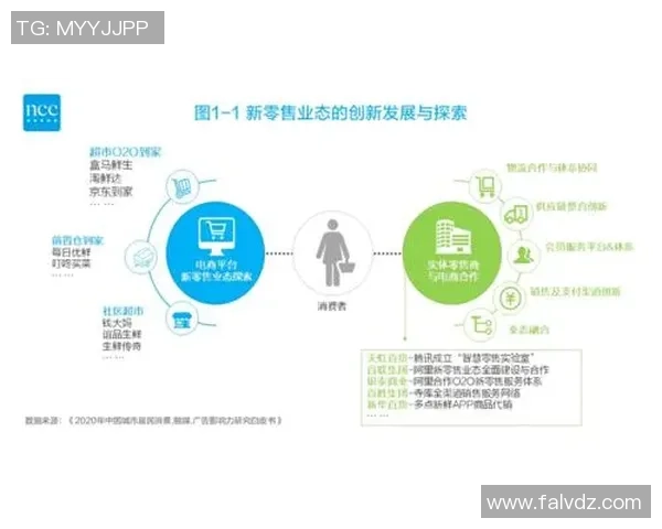 国家足球北方崛起之路探索与发展新机遇的全面分析