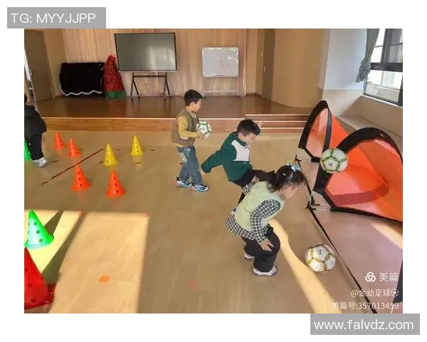 探索足球螃蟹架的魅力与技巧让我们一起享受这项独特的运动体验