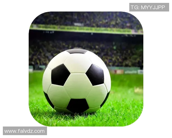 足球白洋的传奇之路与中国足球的未来展望