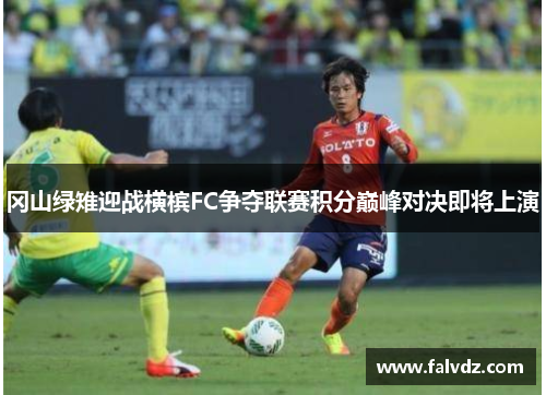 冈山绿雉迎战横槟FC争夺联赛积分巅峰对决即将上演